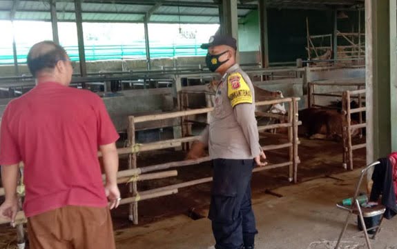 Jelang Idul Adha,Pemeriksaan Hewan Kurban Ditingkatkan Jelang Idul Adha,Pemeriksaan Hewan Kurban Ditingkatkan