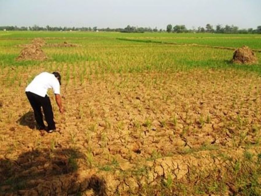 Musim Kemarau Petani Menganggur