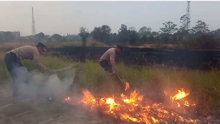 Musim Kemarau, Kebakaran Lahan Makin Sering Terjadi