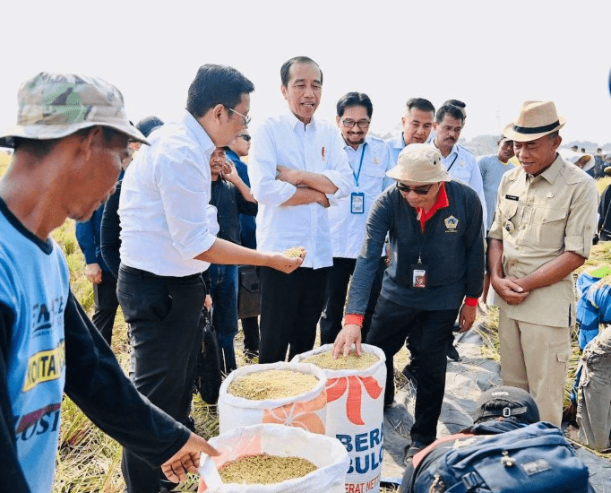 Presiden Jokowi Tinjau Panen Raya di Subang