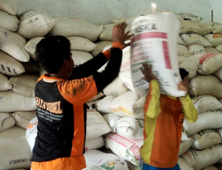 Harga Beras Medium Kembali Naik Harga Beras Medium Kembali Naik