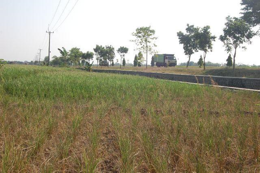 Sembilan Belas Kecamatan Rawan Kekeringan