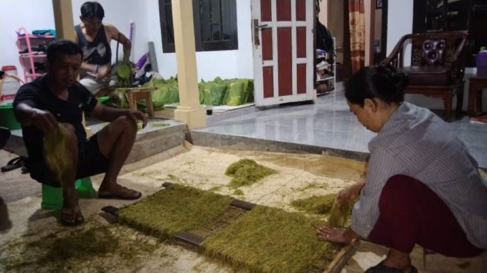 Harga Tembakau Naik, Petani Senang