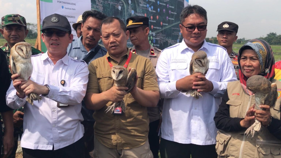 1.000 Burung Hantu dari Presiden Untuk Petani Majalengka 1.000 Burung Hantu dari Presiden Untuk Petani Majalengka