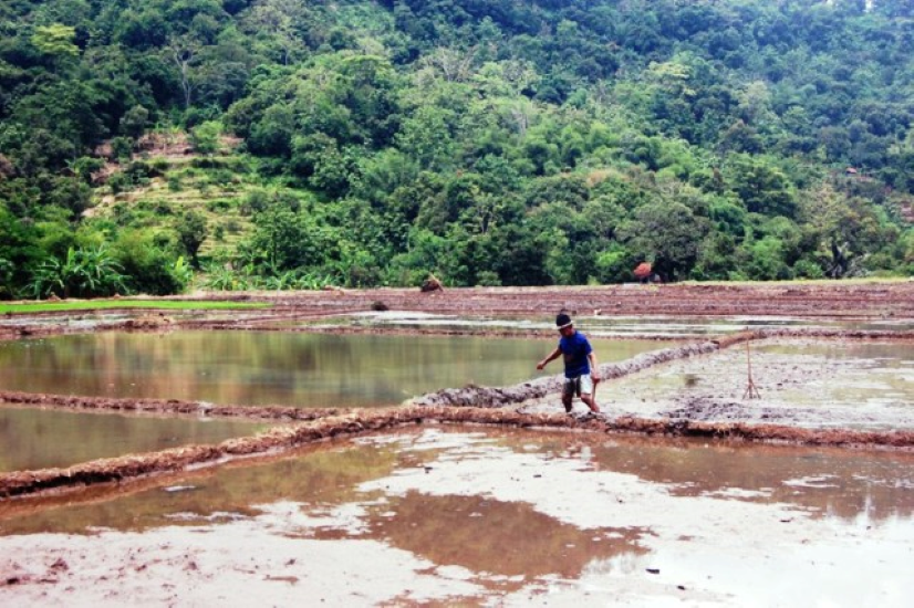 Anak Muda Banyak Yang Enggan Jadi Petani Anak Muda Banyak Yang Enggan Jadi Petani